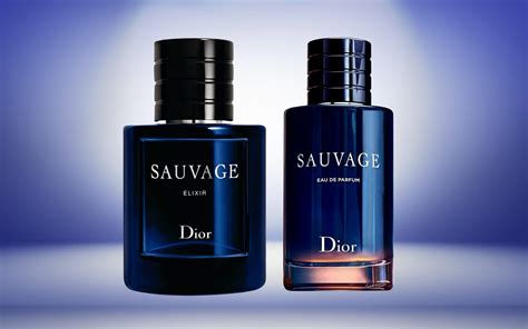 invictus vs dior sauvage|dior sauvage perfume review.